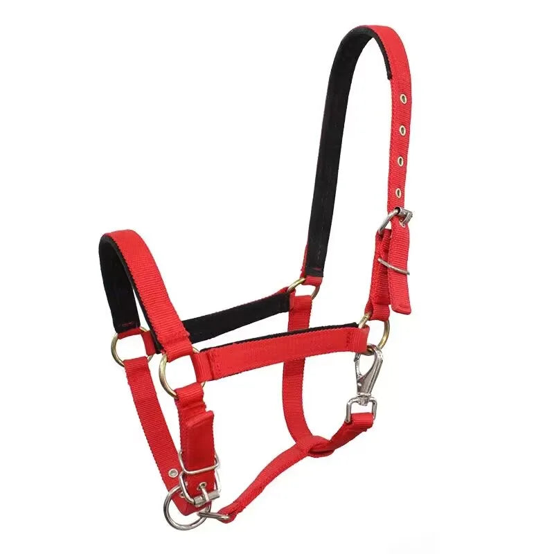 Horse Halter Protective Padded Adjustable - ProPawPet.com