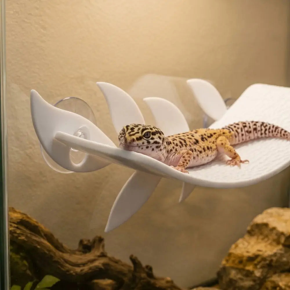 Leaf Shape Lizard Habitat Leaf Simulated - ProPawPet.com