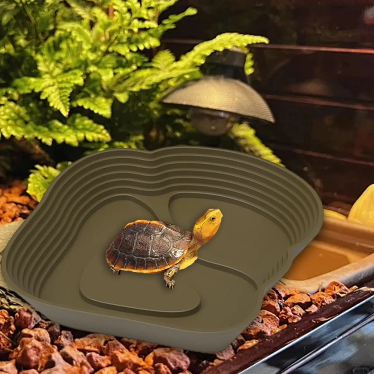 Reptile Water Bowl with Ramp Easy Access Feeding Dish Turtle – 3 Colors