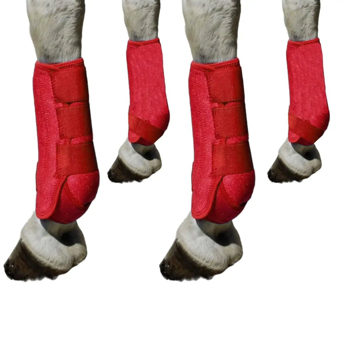 4 Pieces Horse Boots Equestrian Equipment - ProPawPet.com