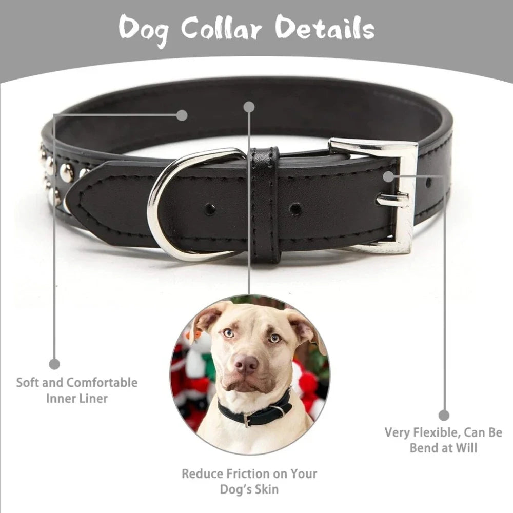 Adjustable Faux Leather Dog Collar, Studded - ProPawPet.com