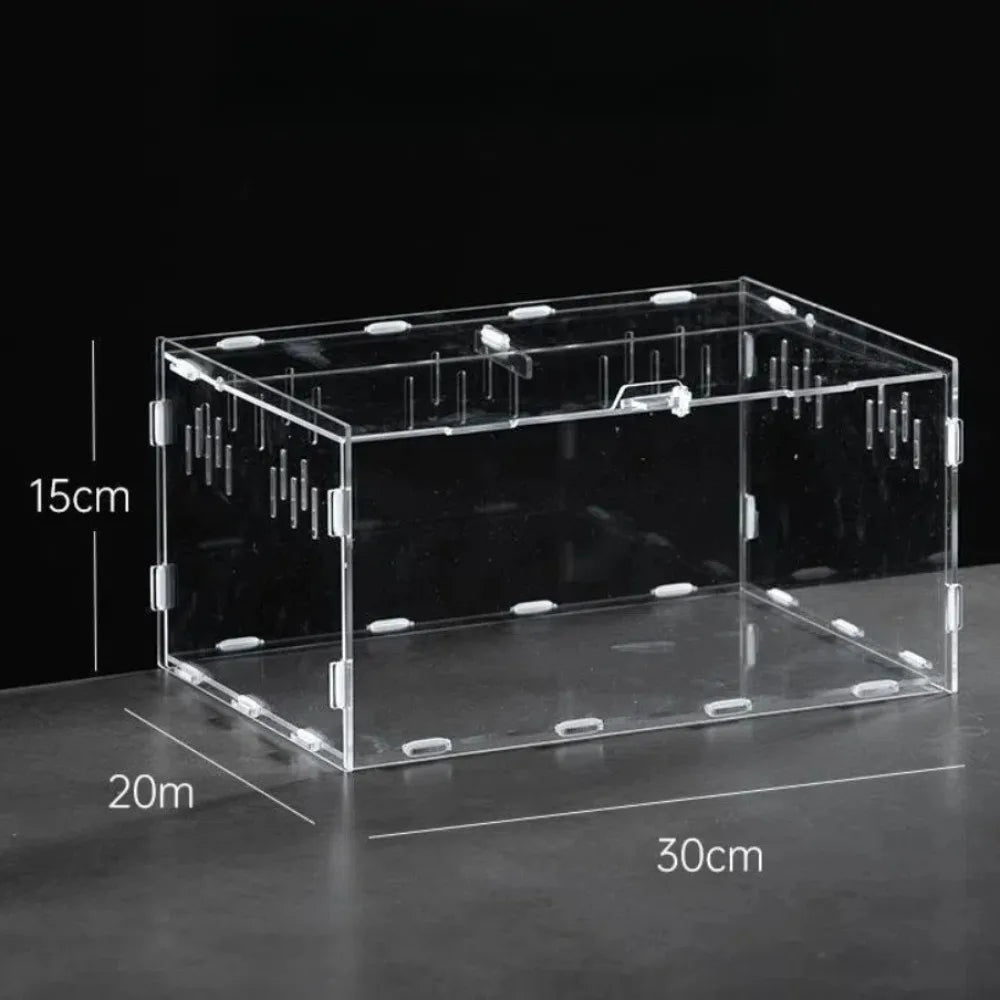 Durable Acrylic Reptile Habitat Clear Multiple Size Spider – 9 Colors