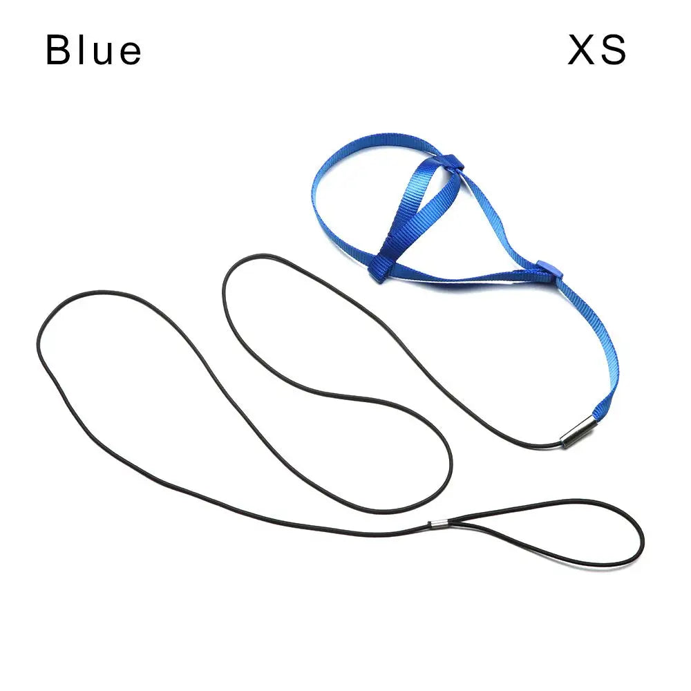 Anti-Bite Bird Harness Leash Set Parrot - ProPawPet.com