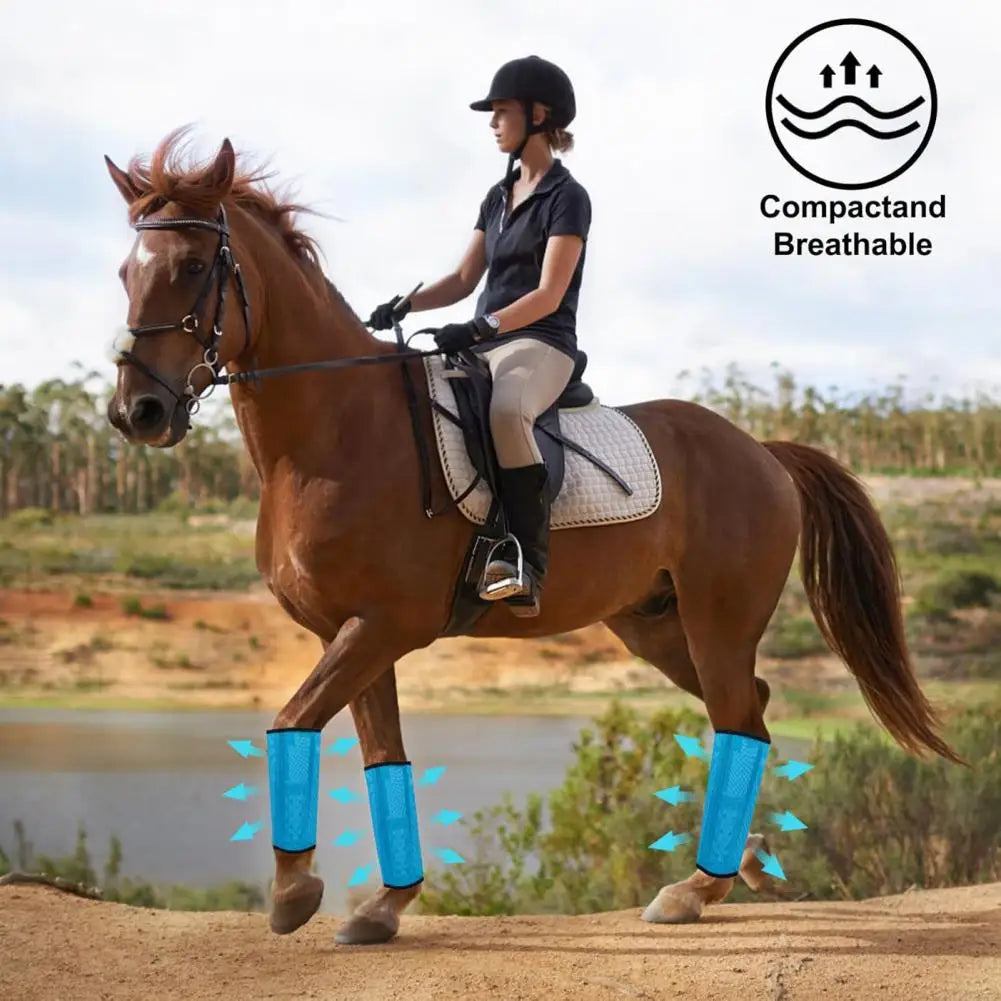 4Pcs Summer Horse Fly Boots Breathable - ProPawPet.com