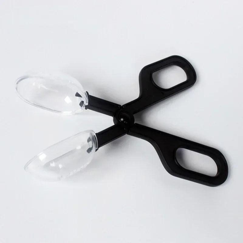 Scissor Type Reptile Clip Insect Breadbug Feeding