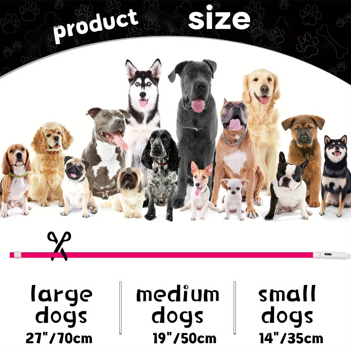 Pet Dog Cat LED Light Collar Luminous - ProPawPet.com