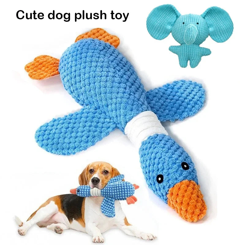 Cat Dog Toys for Aggressive Chewers Cats - ProPawPet.com