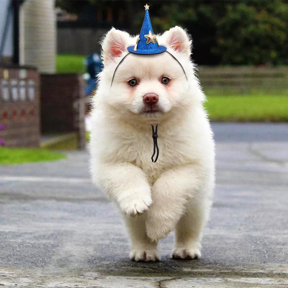 1PCS Halloween Party Dog Hat Adjustable Dog - ProPawPet.com
