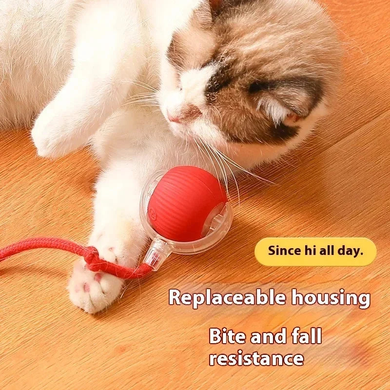 Rechargeable Automatic Rolling Ball Cat Toy - ProPawPet.com