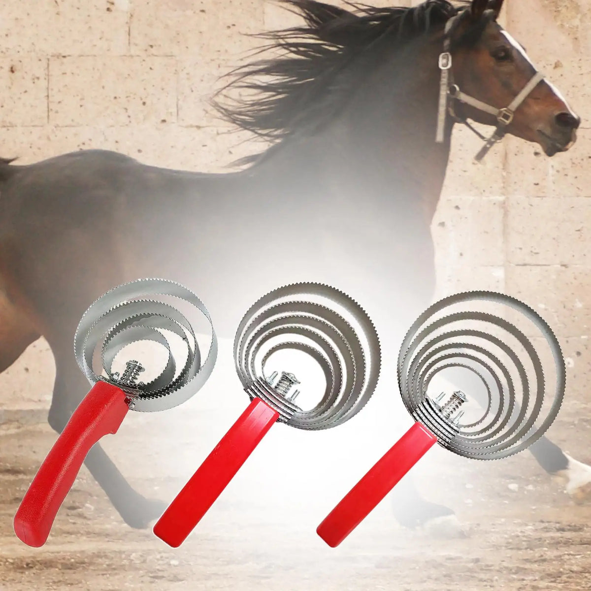 Reversible Curry Comb Stainless Steel with - ProPawPet.com