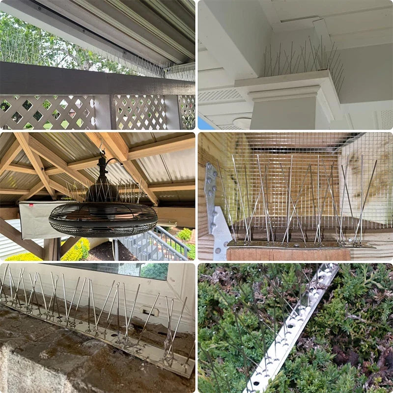 Bird Repeller Spikes Against Pigeons Scare - ProPawPet.com