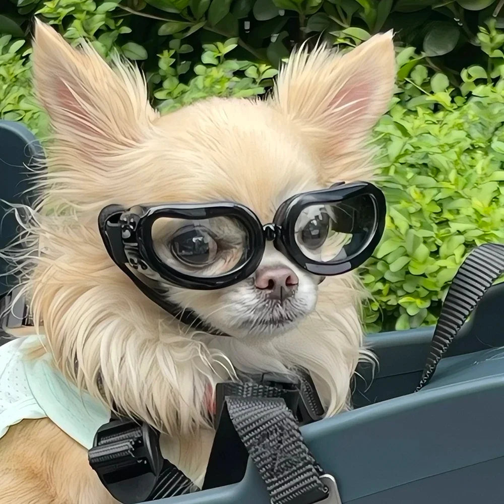 Retro Puppy Dog Pilot Goggles for Small Dogs - ProPawPet.com