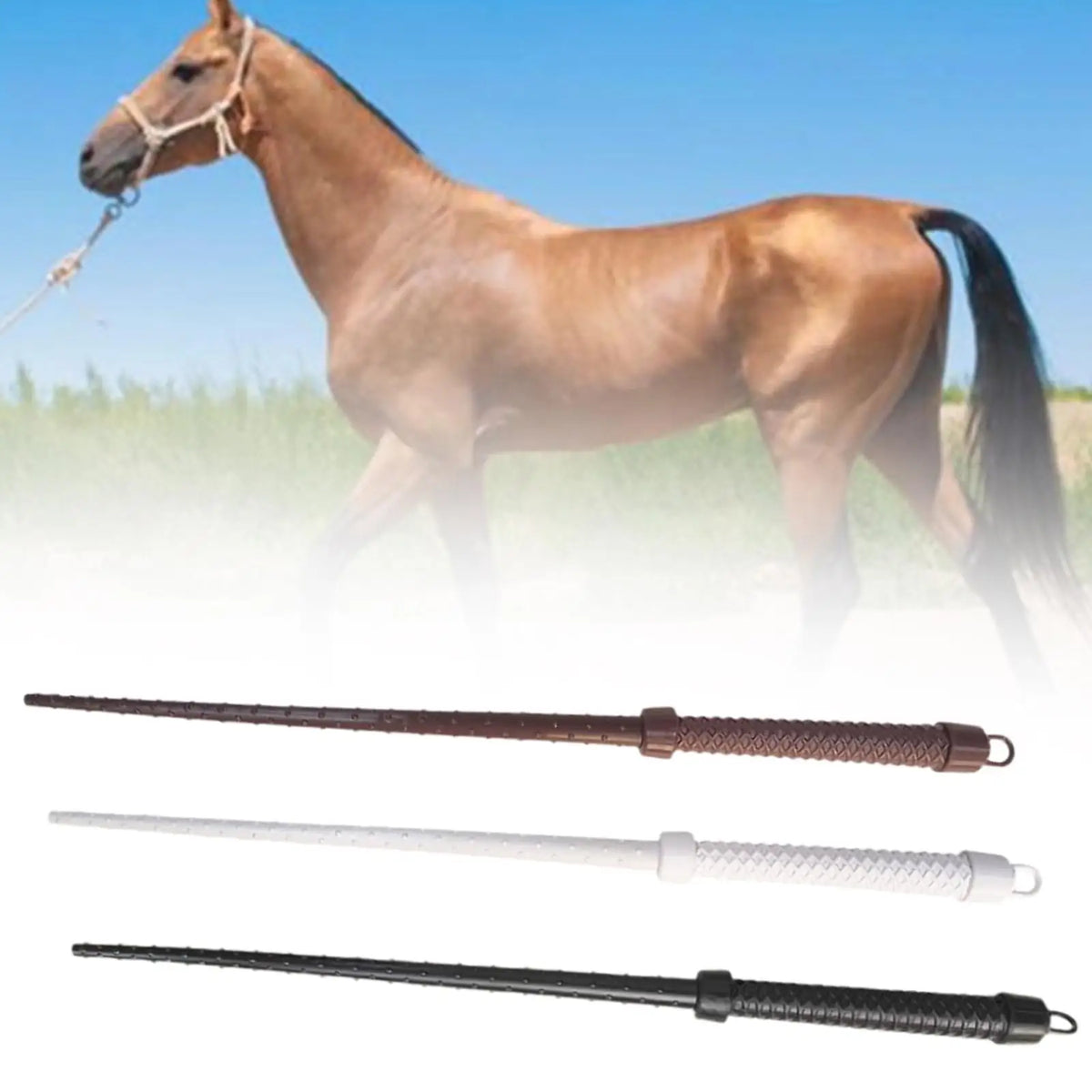 Riding Whip 60cm Riding Competition whips - ProPawPet.com