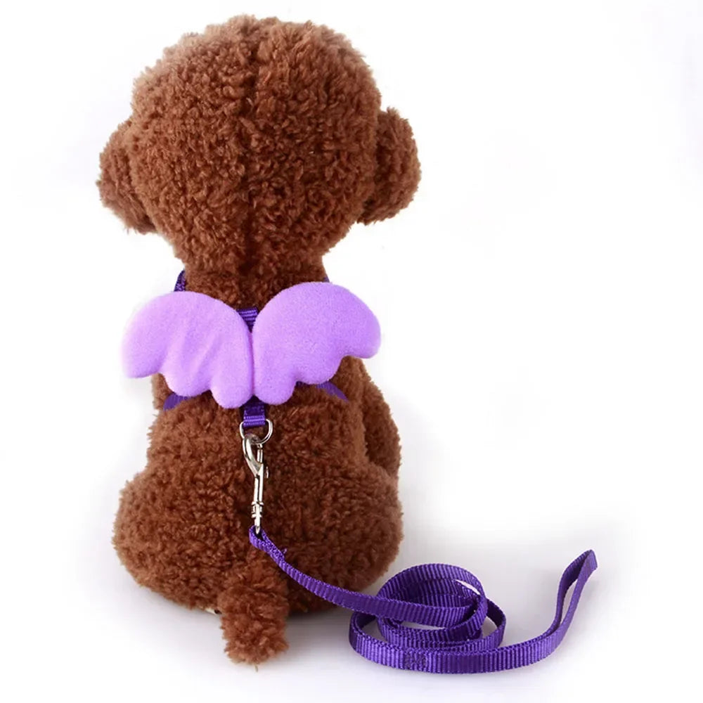Adjustable Kitten Harness and Leash Set Cute - ProPawPet.com