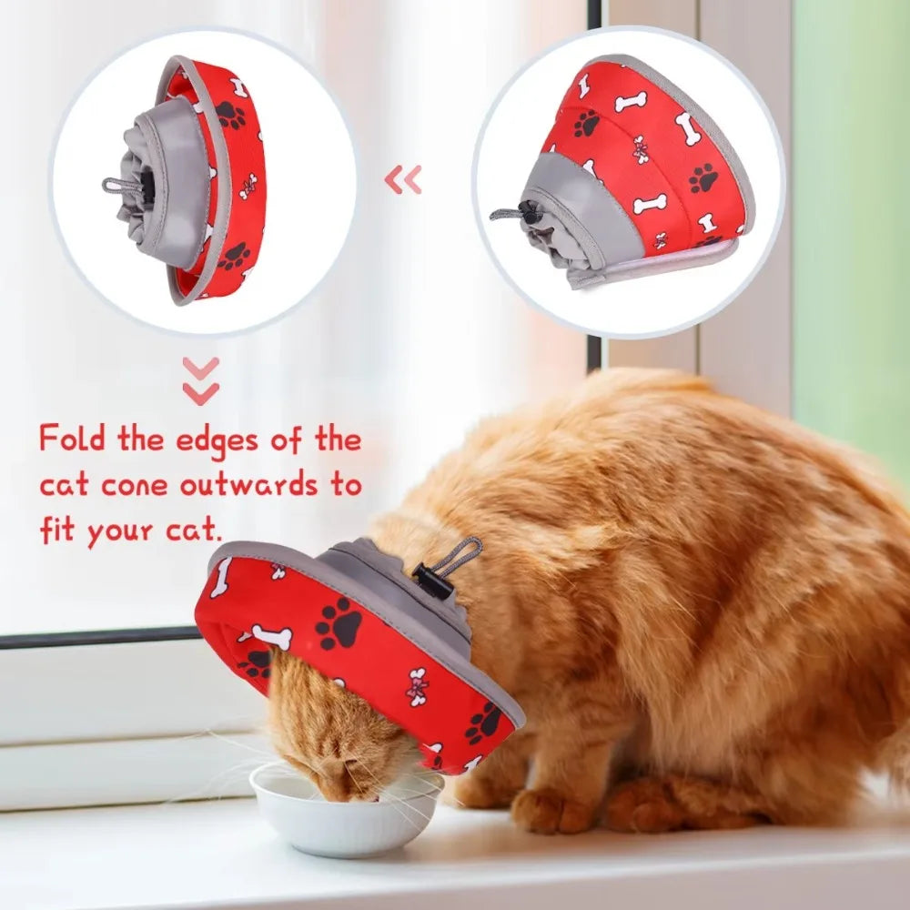 Adjustable Cat Recovery Collar Lightweight - ProPawPet.com