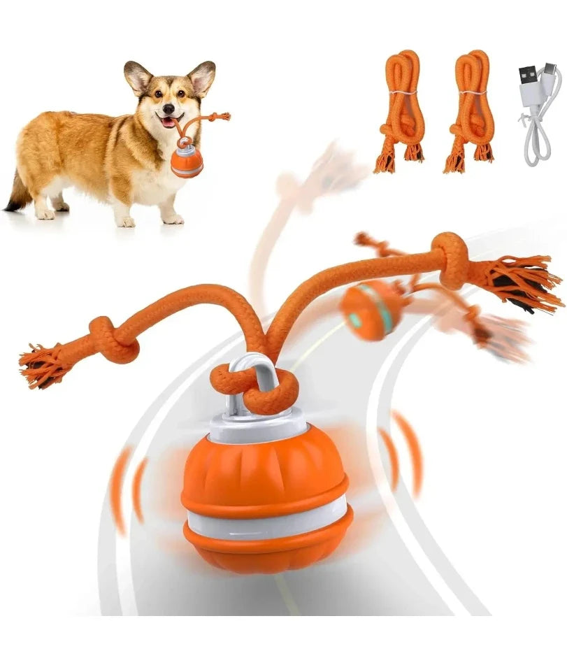 Pet Ball for Dogs Interactive Toys Motion - ProPawPet.com