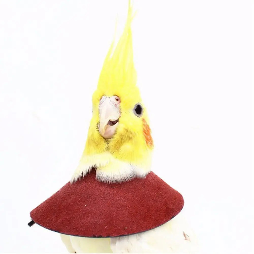 Adjustable Bird Accessories Anti-bite - ProPawPet.com