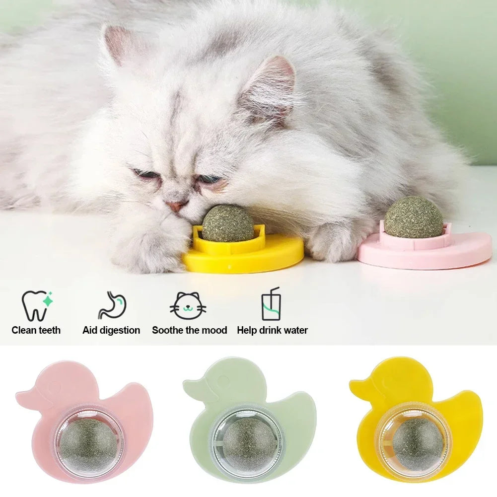 Cat Mint Ball Rotating Ball Wall Cat Toy - ProPawPet.com