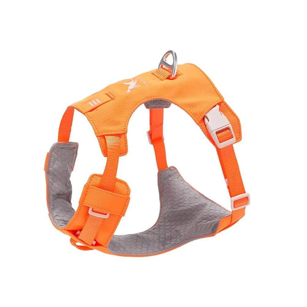 Lightweight Dog Harness & Leash Set - ProPawPet.com