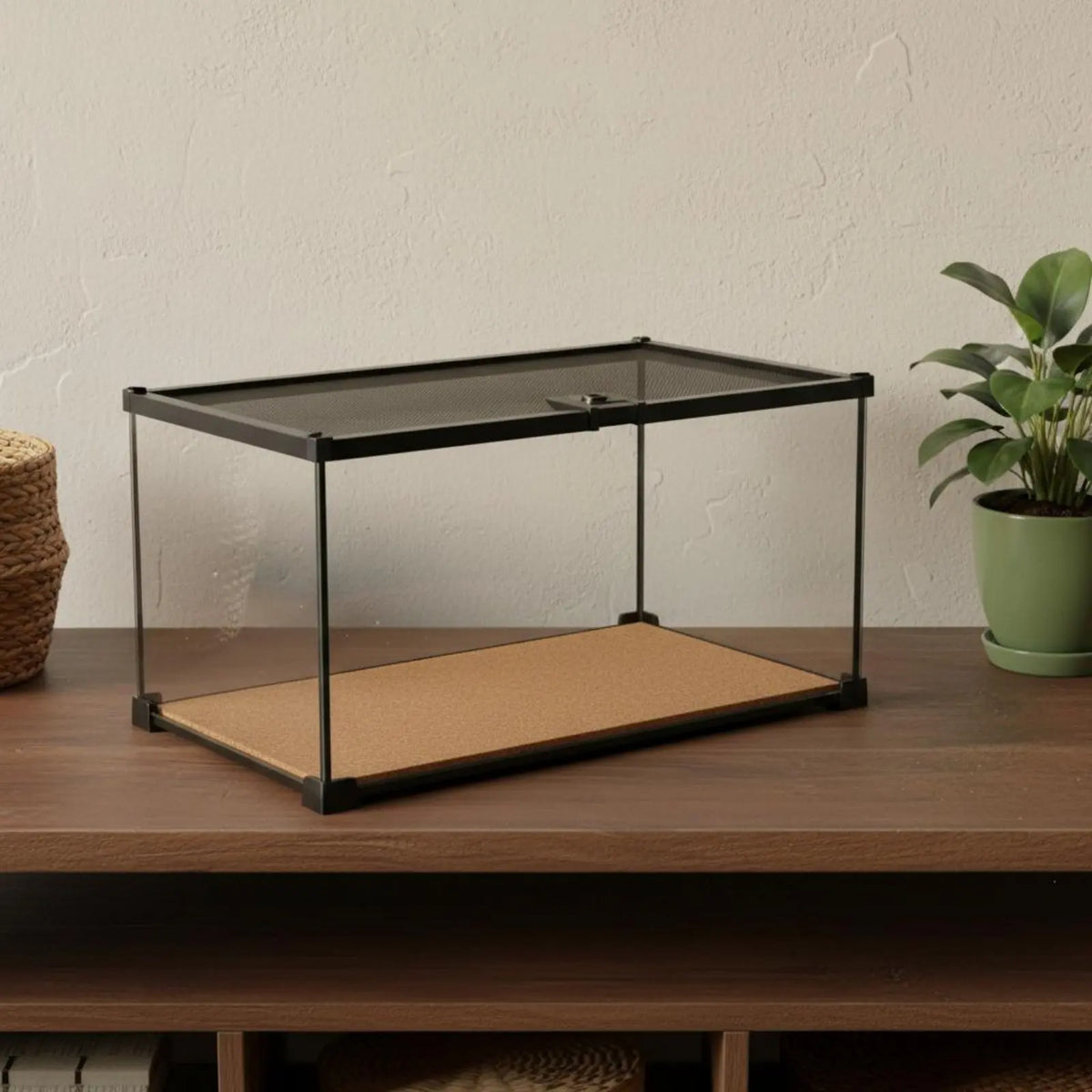 Glass Amphibian Terrarium Anti-Security - ProPawPet.com