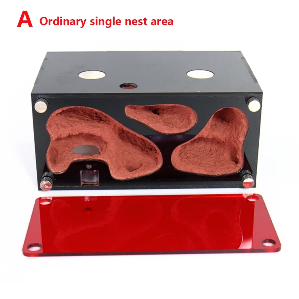 Acrylic Ant Farm Temperature Control Concrete Nest – Coops, Nests & Incubators