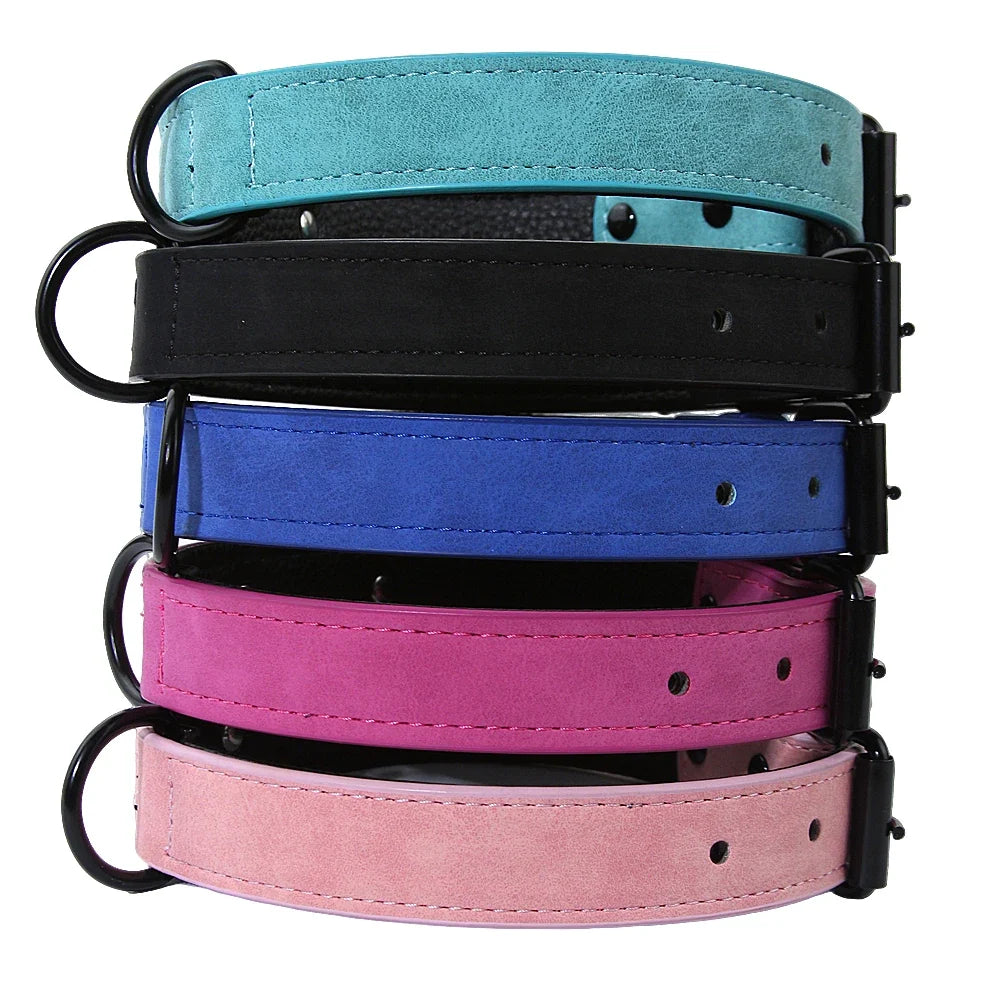 Custom Leather Dog Collar Leash Personalized - ProPawPet.com