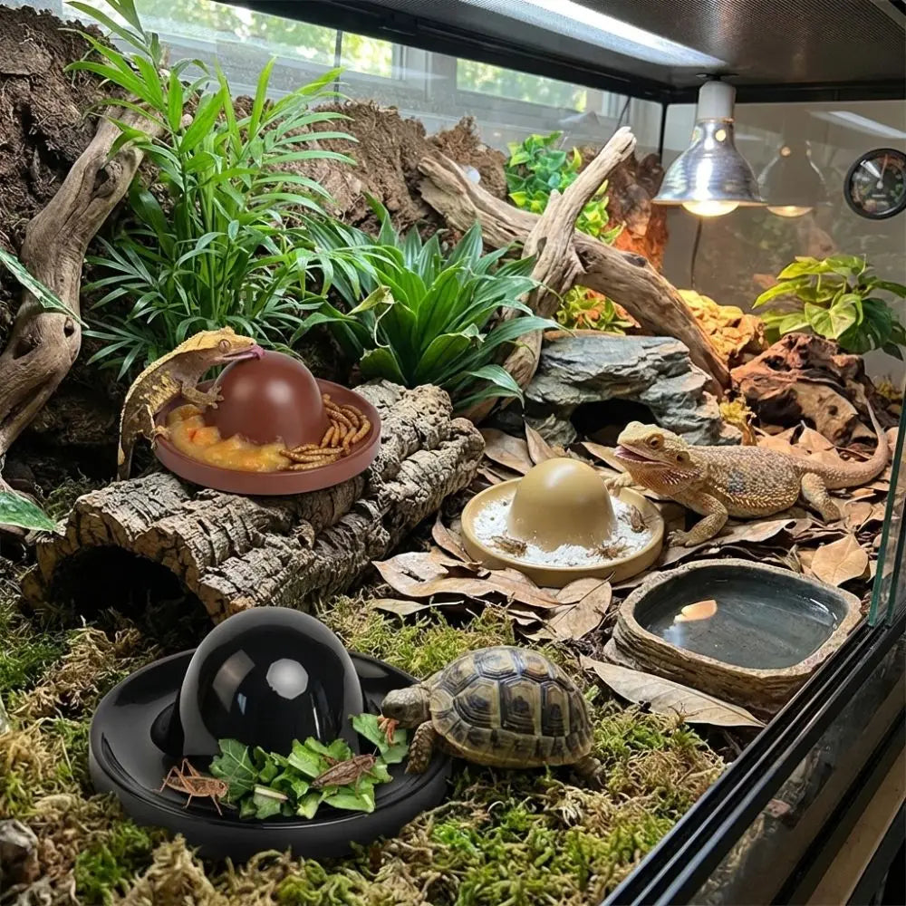 Plastic Reptile Feeder Bowl Escape Proof - ProPawPet.com