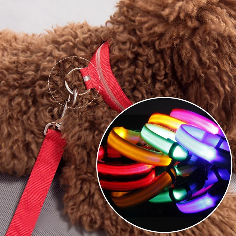 Reflective Nylon LED Pet Dog Collar Safety - ProPawPet.com