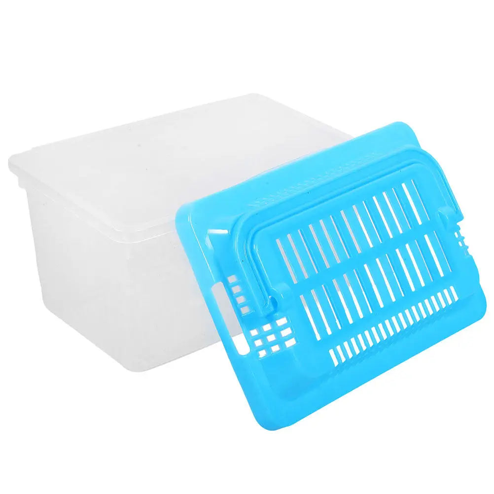 Portable Small Transparent Turtle Feeding - ProPawPet.com