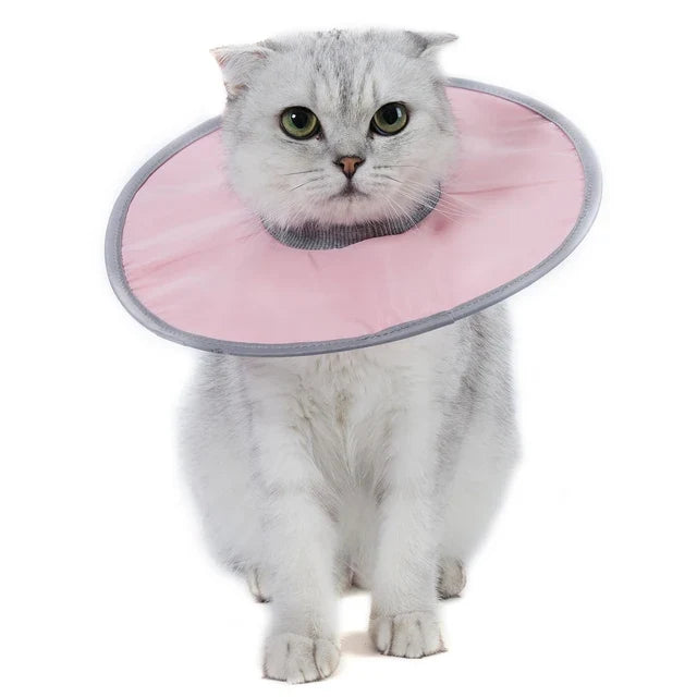 Cat Protective Collar Neck Recovery Cone – Cat Collars