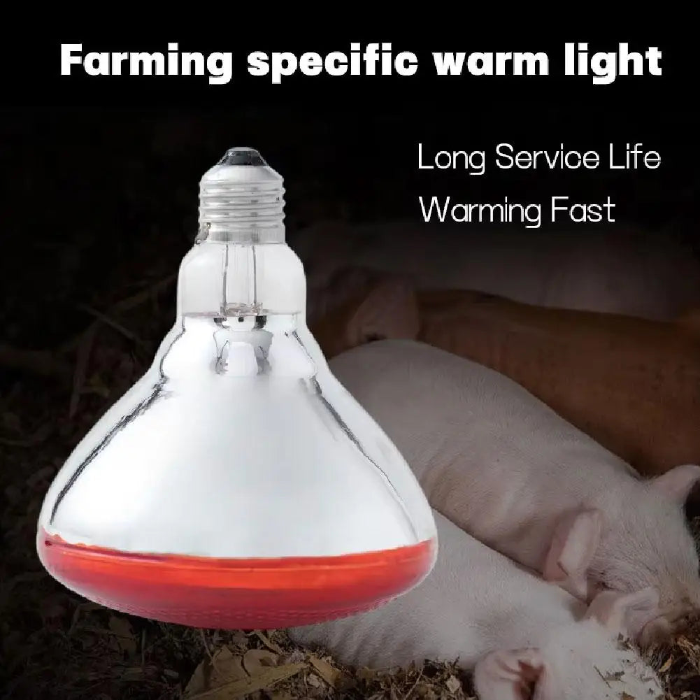 100w 150w 175w 200w 250w 275w Pet Red - ProPawPet.com