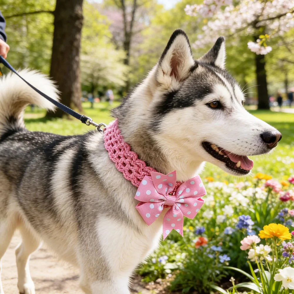 50PCS Bulk Pet Dog Bowties Dot Solid Flower - ProPawPet.com