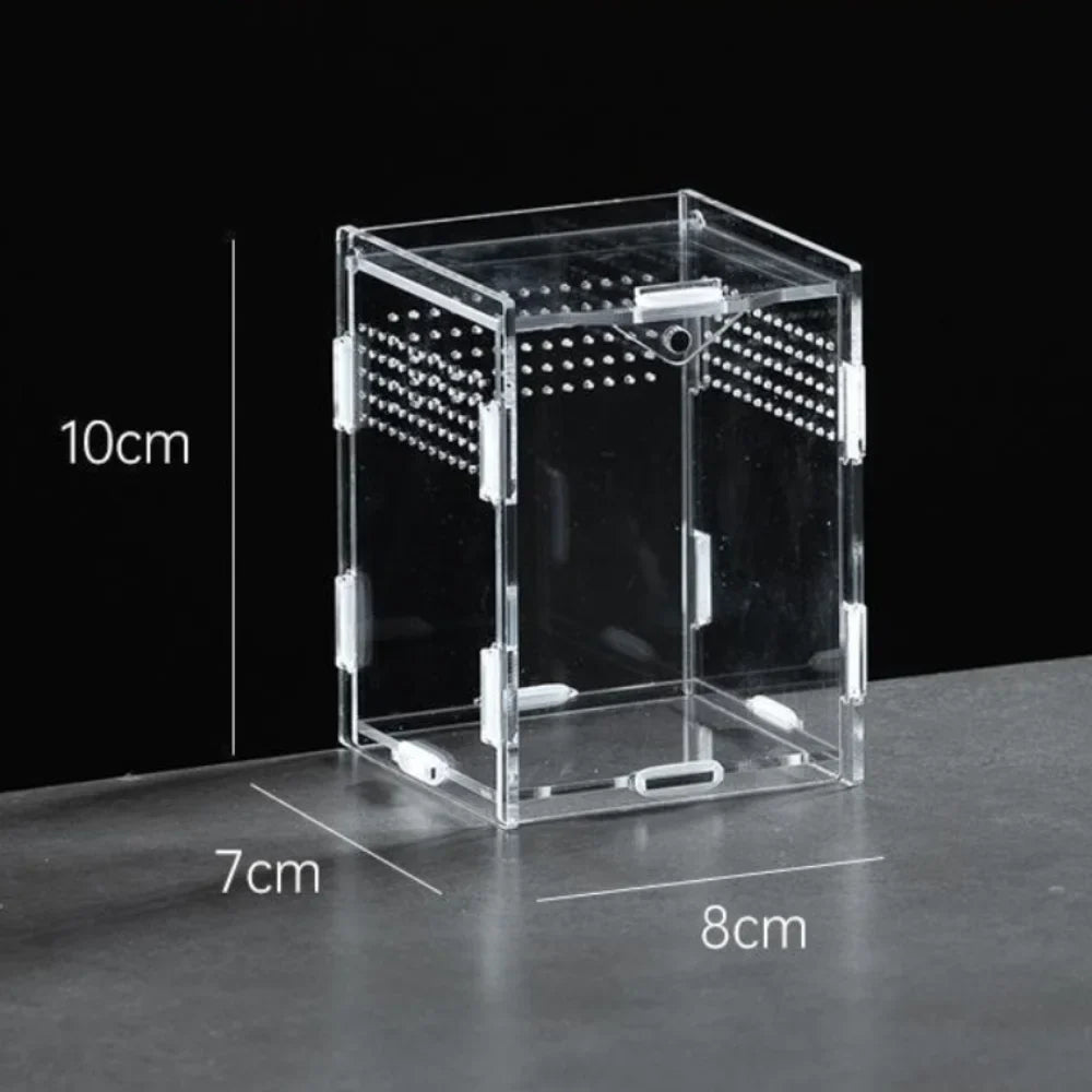 Durable Acrylic Reptile Habitat Clear Multiple Size Spider – 9 Colors