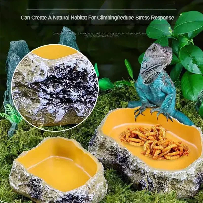Reptile Water Basin Pet Amphibian Drinking - ProPawPet.com