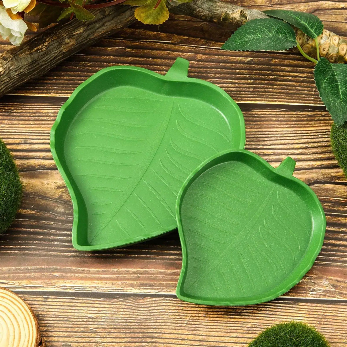 Leaf Reptile Food Water Bowl Reptile Food - ProPawPet.com