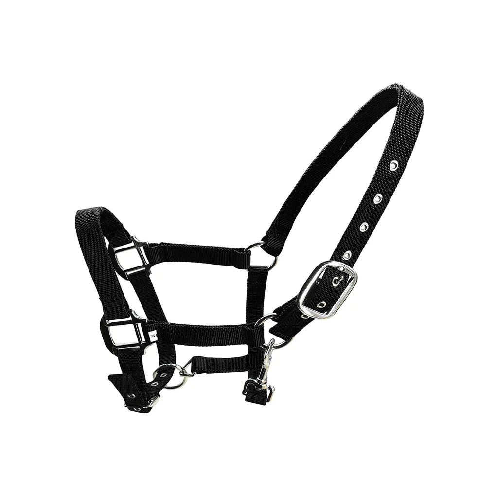 Padded Halter Pony Bridle Head Collar - ProPawPet.com