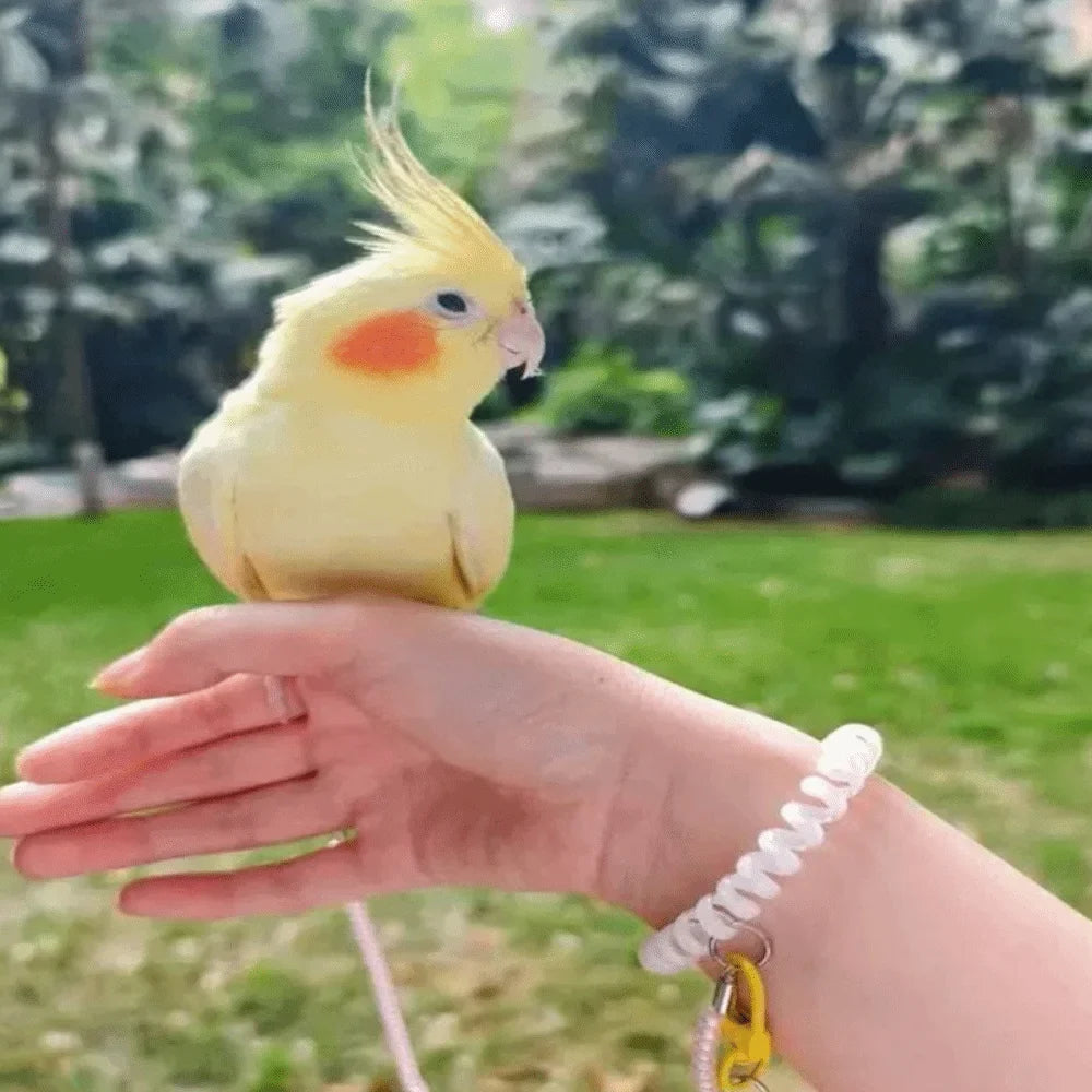 Ultra-light Parrot Training Leash 1.4-4.5m - ProPawPet.com