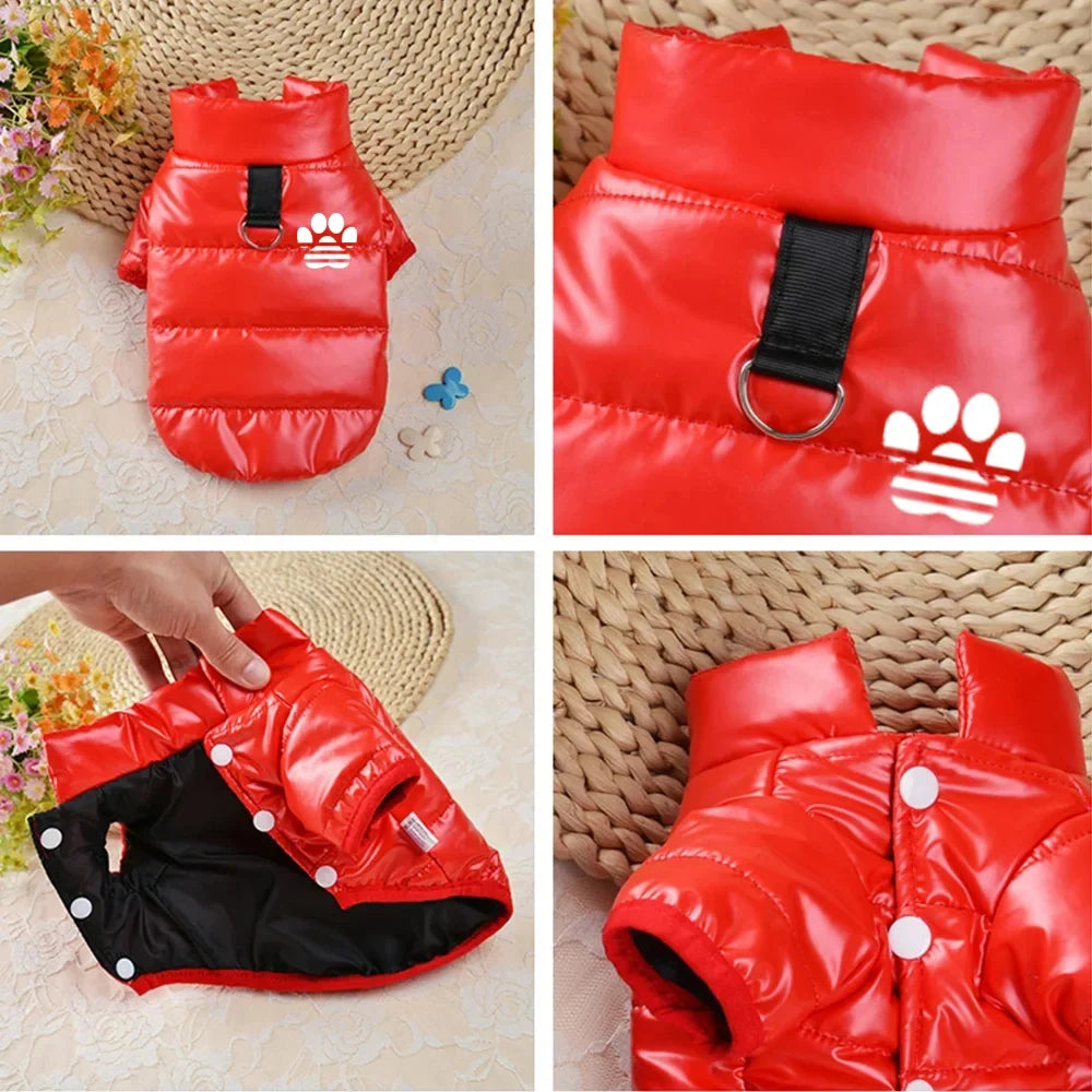 Dog Clothes for Small Dogs Puppy Jacket - ProPawPet.com