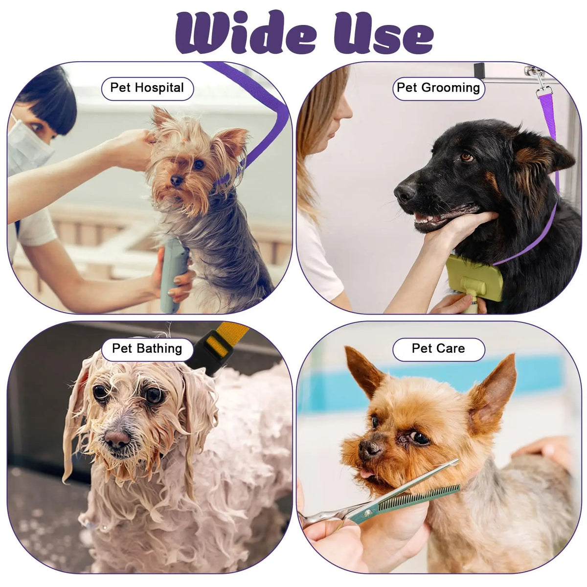 Adjustable Dog Grooming Safety Strap - ProPawPet.com