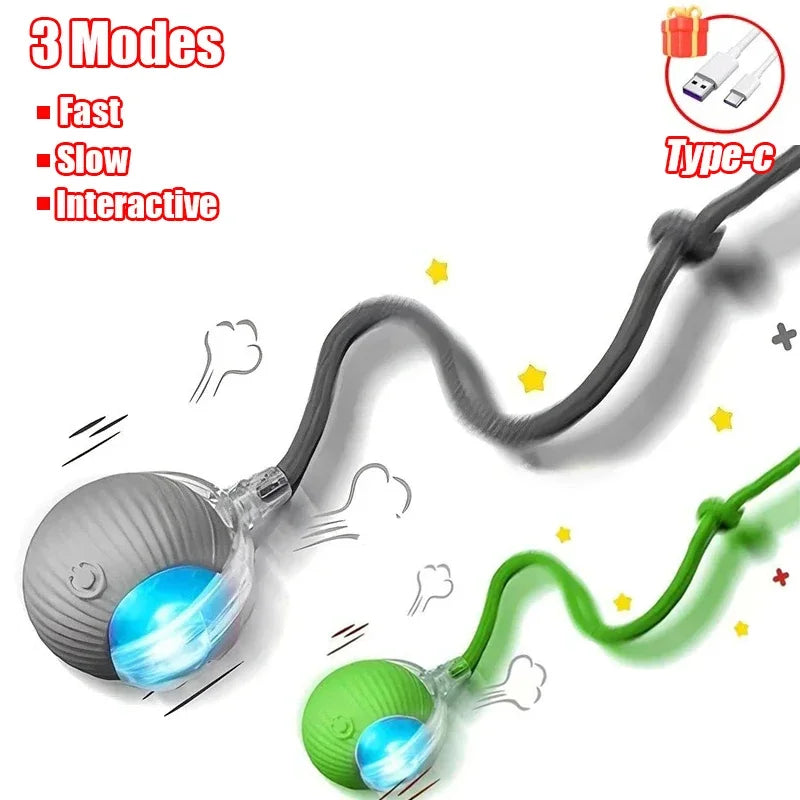 1 Cat Interactive Ball Toy – Cat Toys & Play