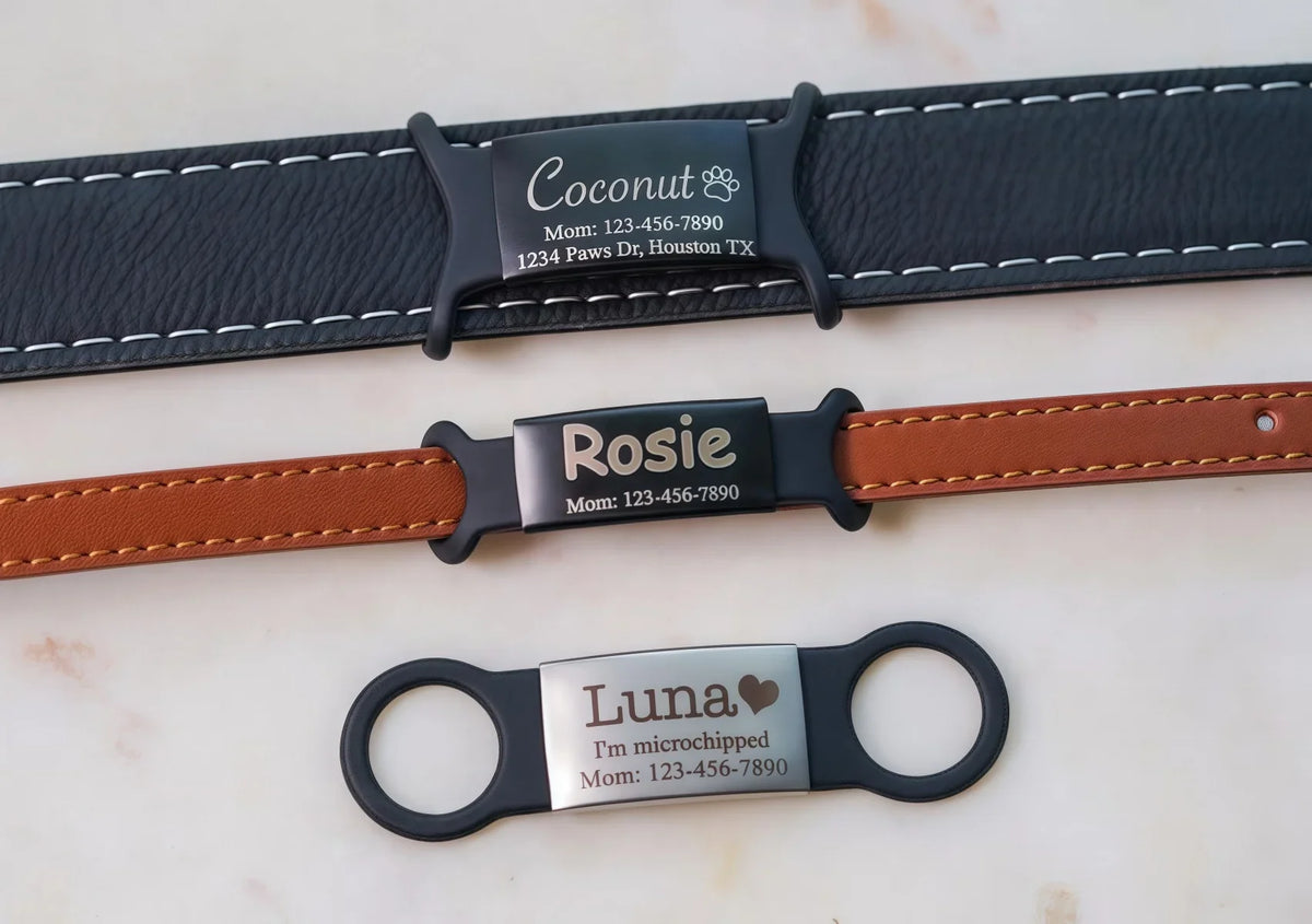 Silent Slide-On Dog Cat Collar Tag - ProPawPet.com