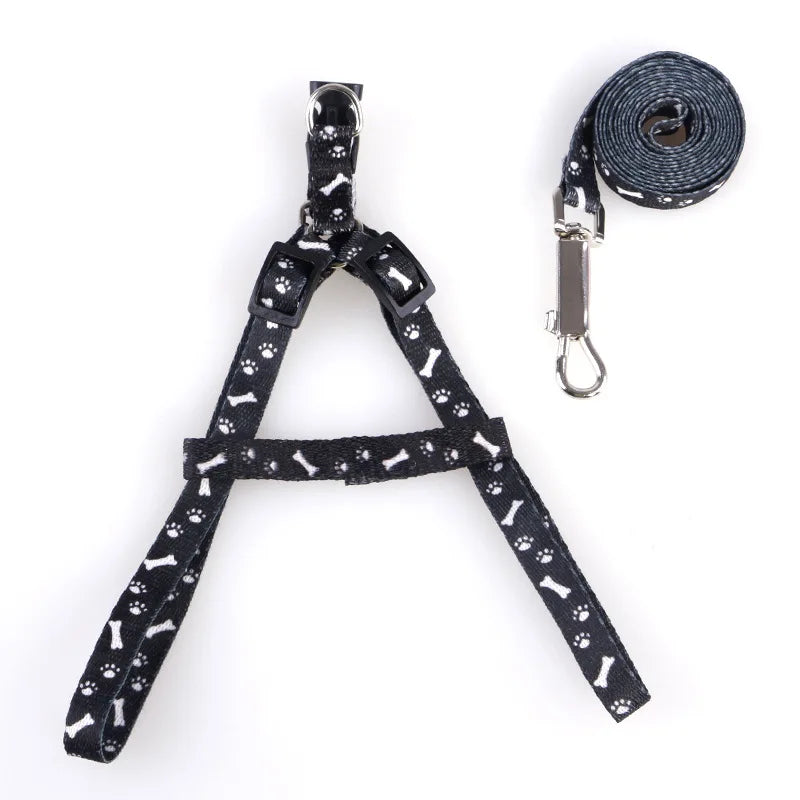 Small Dog Lead Puppy Leashes
