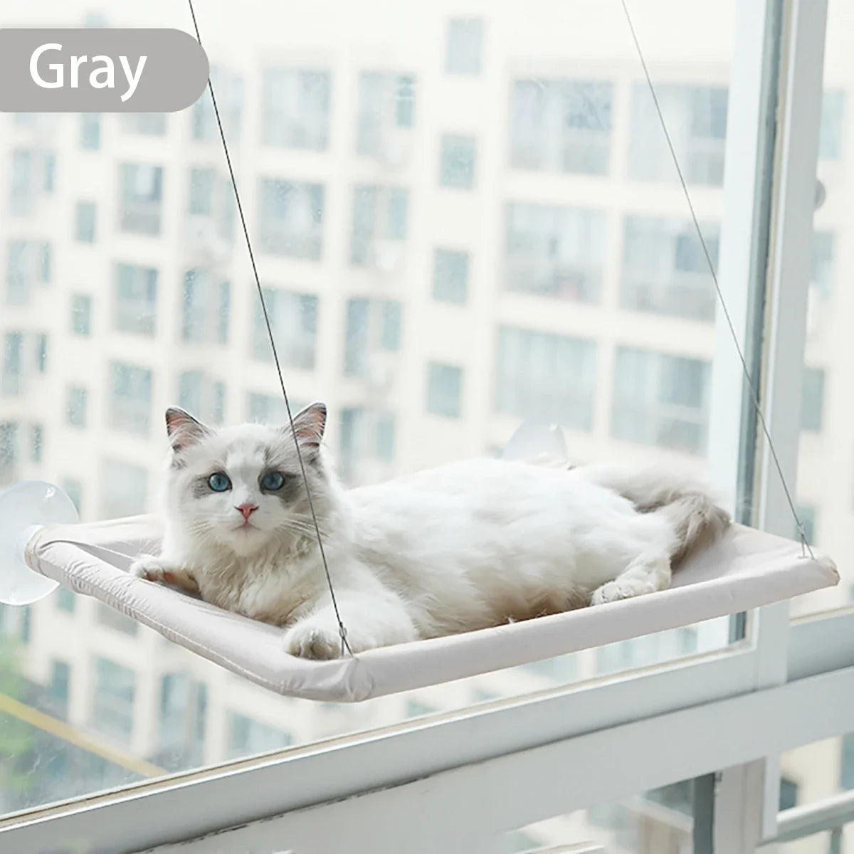 20KG Pet Cat Hammock Hanging Cat Bed Bearing - ProPawPet.com