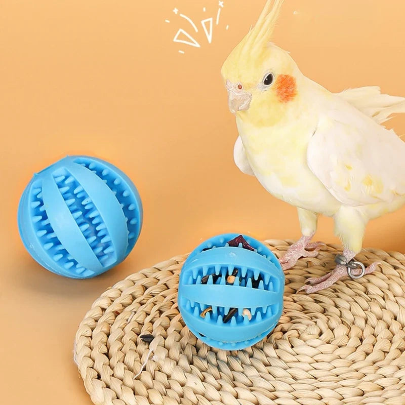 2Pack Bird Foraging Toys Parrot Chew Treat - ProPawPet.com