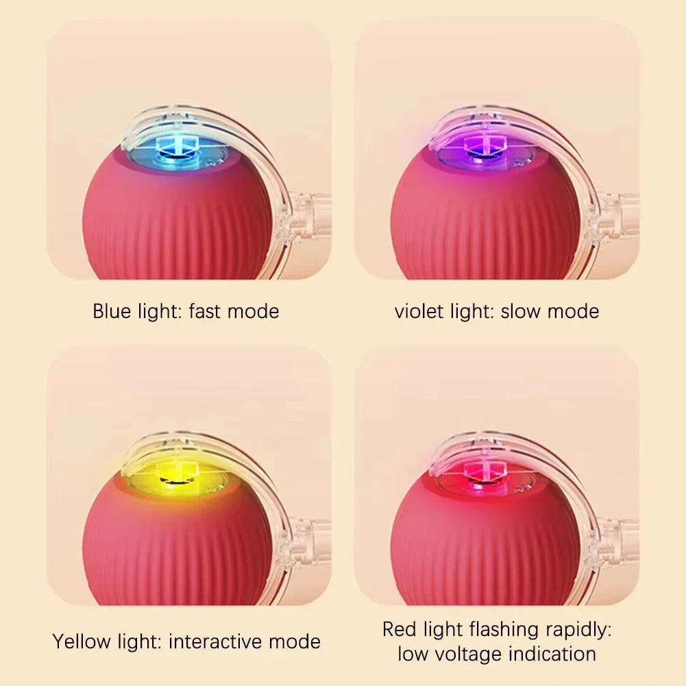 1/2PCS Interactive Cat Toys Ball Auto - ProPawPet.com