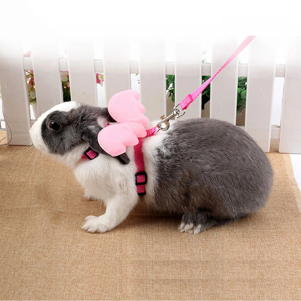 Adjustable Kitten Harness and Leash Set Cute - ProPawPet.com