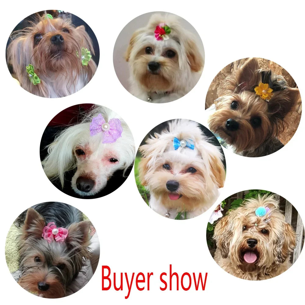 20pcs/lot Pet Dog Cat Hair Bows Mix Color - ProPawPet.com