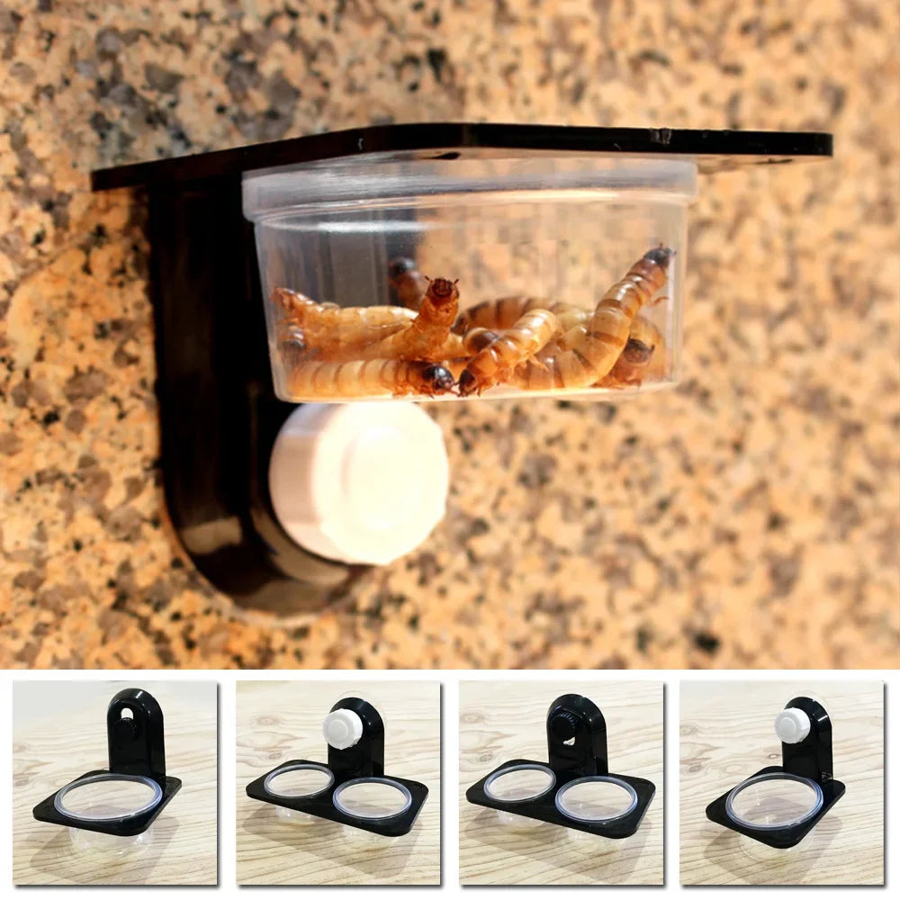 1pcs Reptile Tank Insect Spider Ants Nest - ProPawPet.com