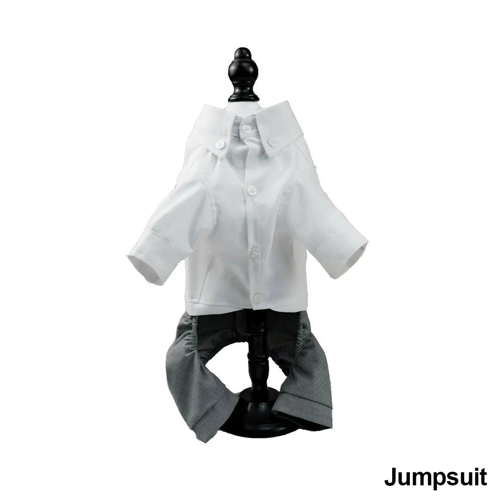 Dog Tuxedo - ProPawPet.com