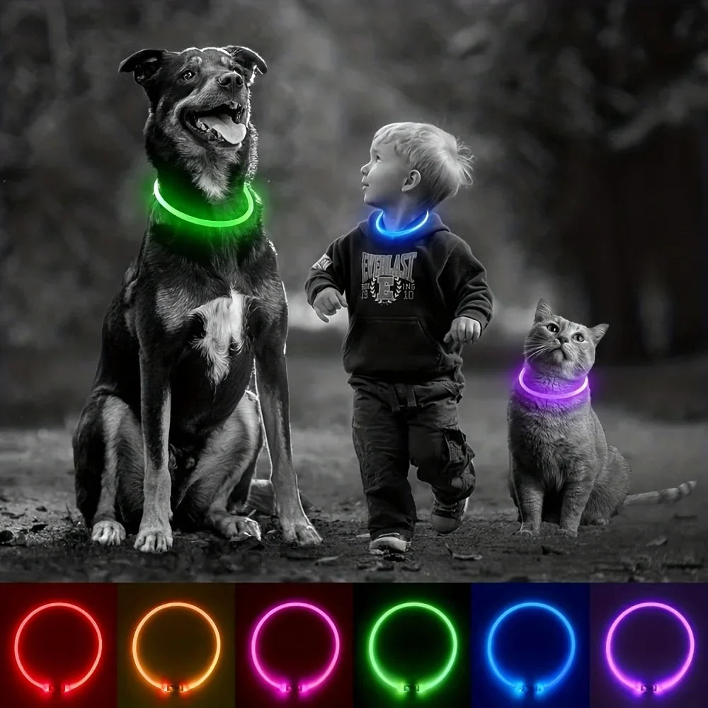 Pet Dog Cat LED Light Collar Luminous - ProPawPet.com